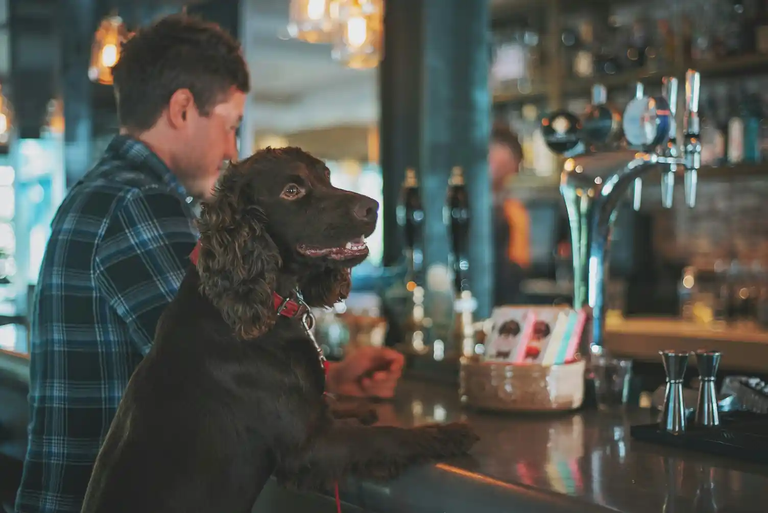 Dog Friendly